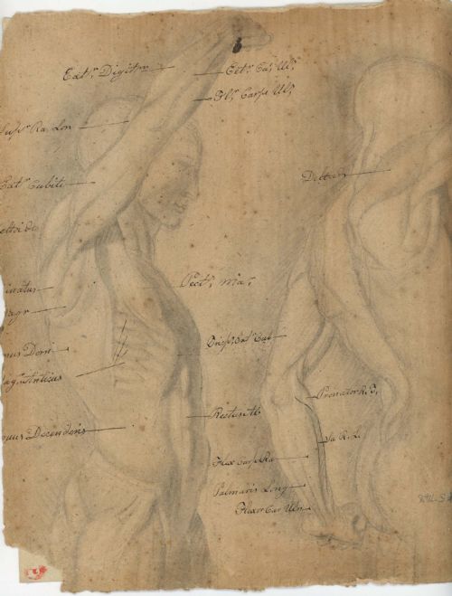 UNFRAMED WATERCOLOUR PORTRAIT CIRCA 1820 - ADDITIONAL PHOTO 1
