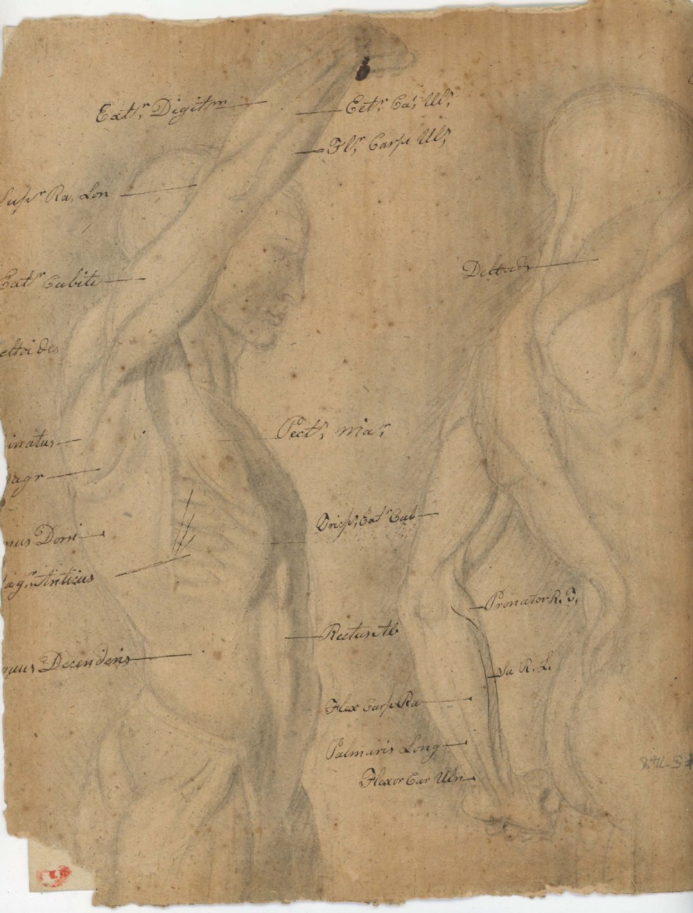 Unframed Watercolour Portrait Circa 1820 View II
