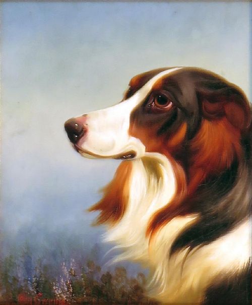 "Collie" Good Dog Portrait by Colin Graeme (Roe).