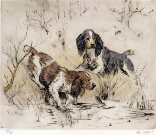 Tom Carr. "Spaniels Retrieving". Lithograph.