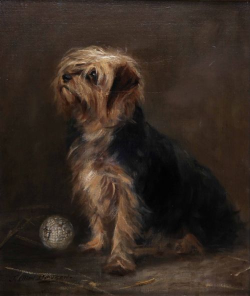 "Yorkshire Terrier and Golf Ball" Oil by J. Allan Dawson.