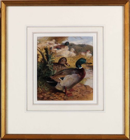 fig 1. Harrison William Weir.