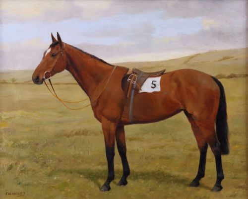 Frances Mabel Hollams. "Racehorse (No 5)".