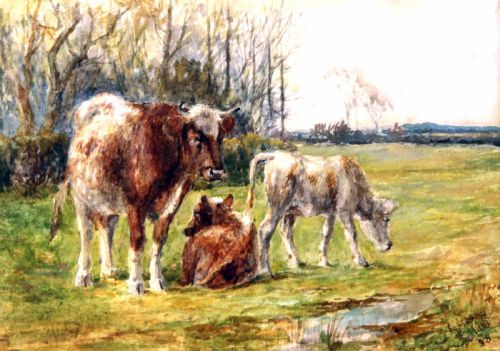 Squire Howard. "Cattle, Summertime". Watercolour.