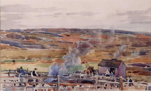 Fred Lawson. "Sheep in Pens, Wensleydale". Watercolour.