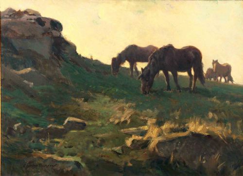 Charles Walter Simpson Ri. "Dartmoor Ponies". Good Oil.