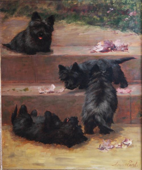 Maud Earl. "Cairn Terriers". Very Good Dog Oil Painting.