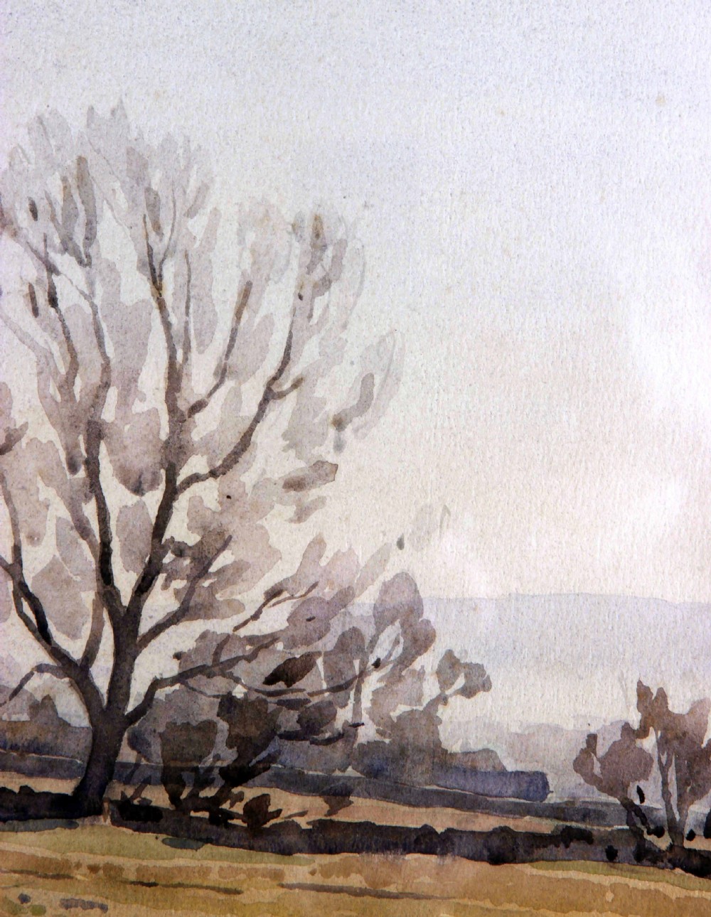 A watercolour landscape painting by Fred Lawson depicting bare winter trees against a muted grey sky near Redmire. View IV