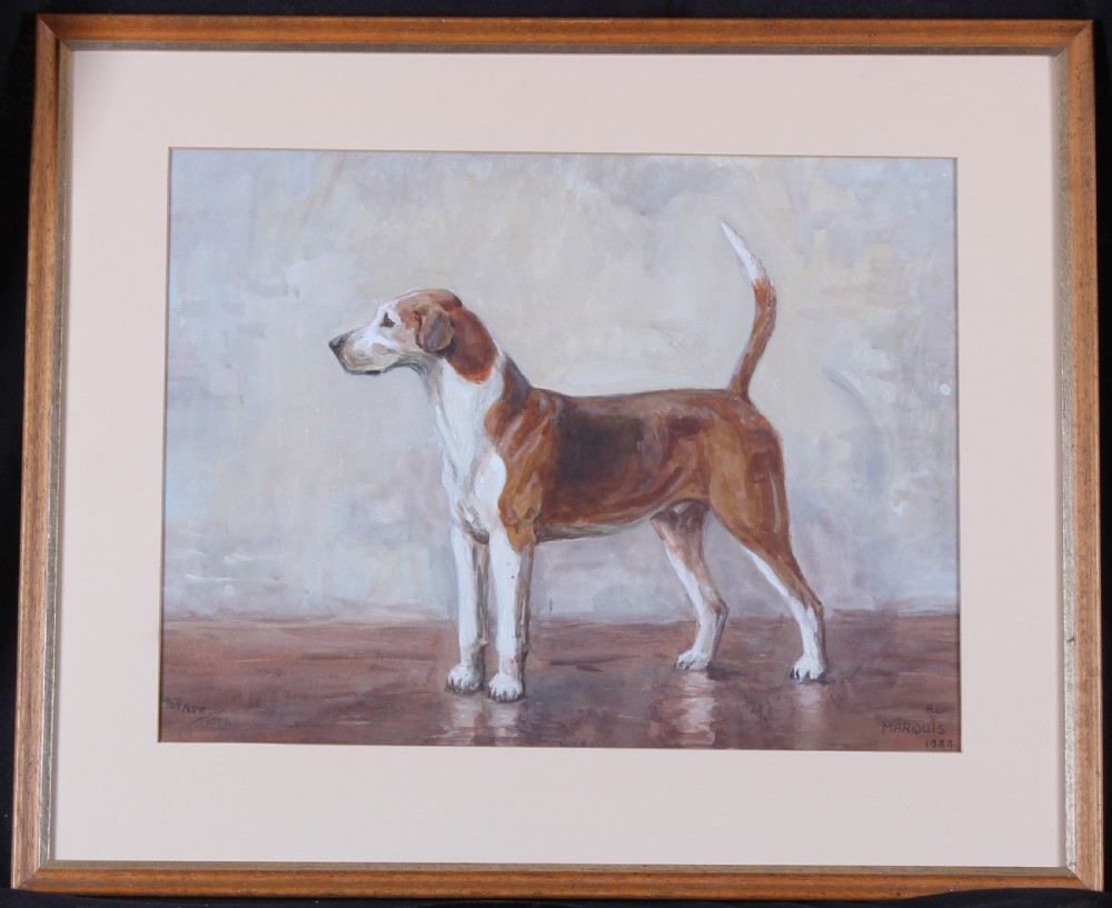 A profile watercolour painting depicting a brown and white foxhound standing on a plain floor against a light neutral background, signed by Tom Carr. View II