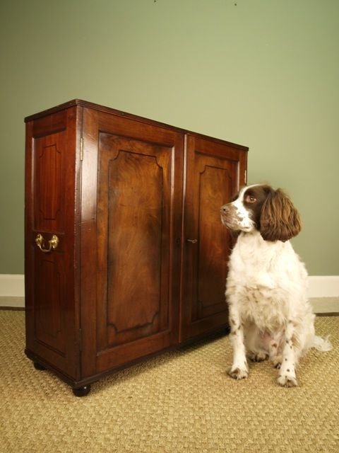 A Small Georgian Mahogany Inlaid Collectors Cabinet