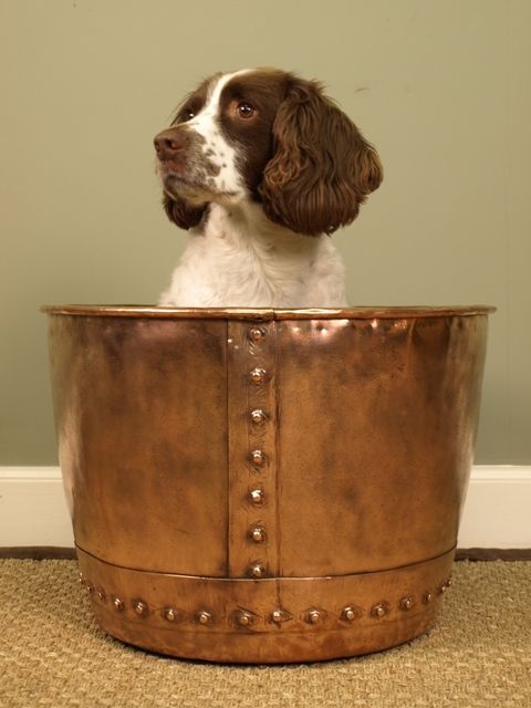 A Large Copper Log Bucket
