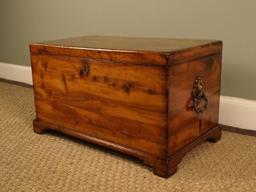 An Early Victorian Yew Wood Trunk