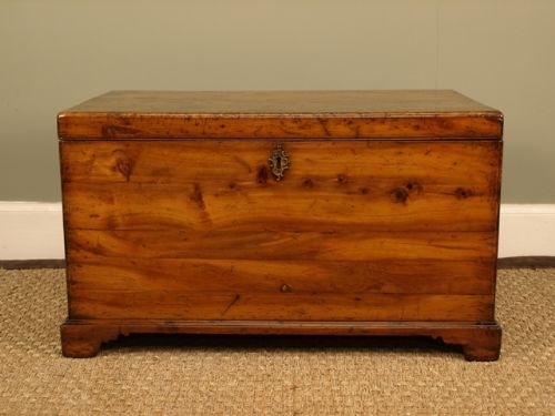 fig 1. An Early Victorian Yew Wood Trunk