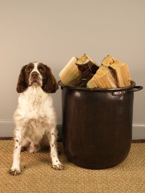 A Large 19th Century Bronzed Log Bucket