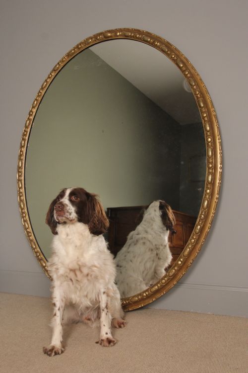 Very Large Gilt Oval Mirror