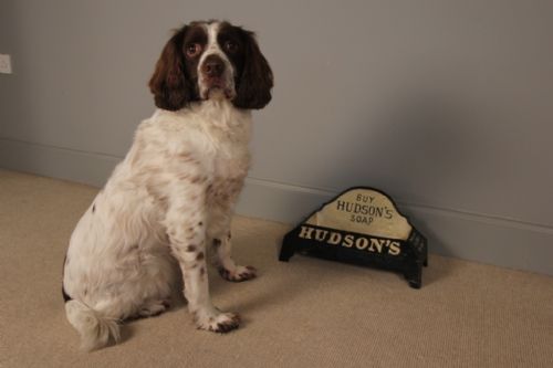 A Hudson's Puppy Drinker