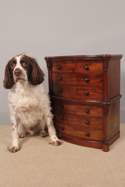 Small 19th C. Chest of Drawers