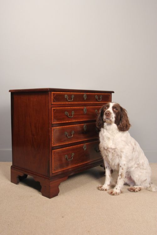 fig 1. Small Edwardian Mahogany Inlaid Chest of Drawers