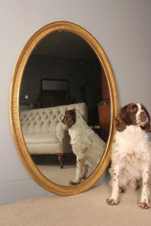 18th C. Beautiful Giltwood Oval Mirror