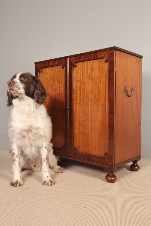 Small Georgian Mahogany Collectors Cabinet