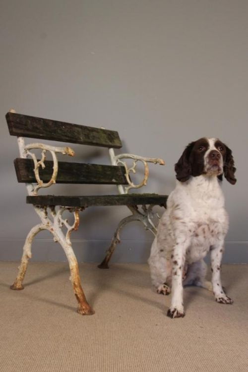 19th C. Cast Iron and Oak Garden Seat