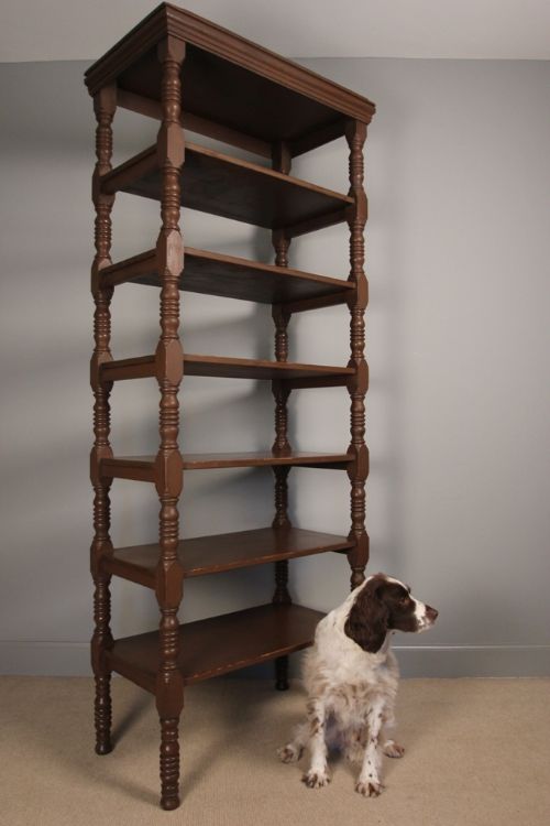 19th C. Tall Haberdashery Shelves