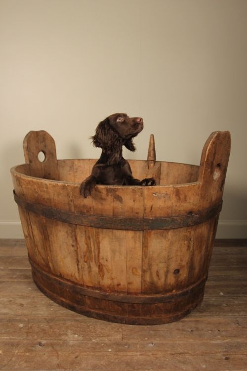 19th Century Large French Grape Harvesting Bucket / Log Bucker / Planter