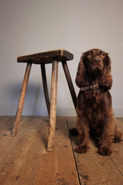fig 1. Primitive Elm & Ash Cutlers Stool