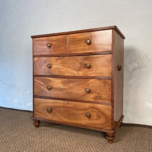 19th C Camphor Wood Military Chest of Drawers