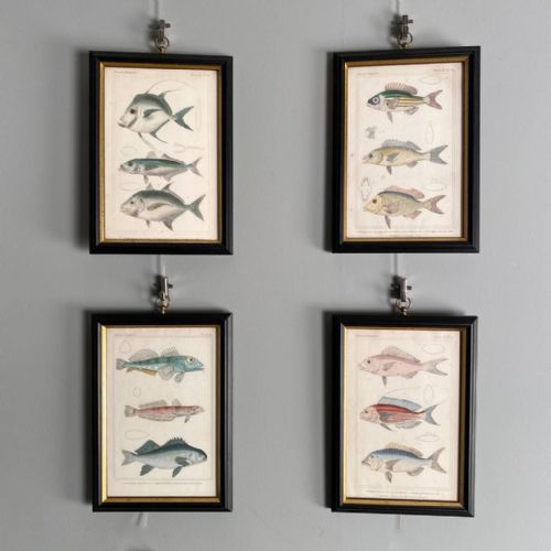 Set of 4 19th C Copper Plate Engravings