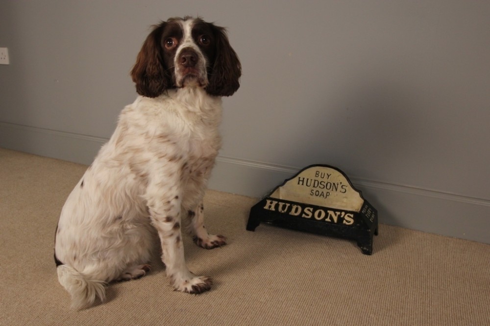 A Hudson's Puppy Drinker