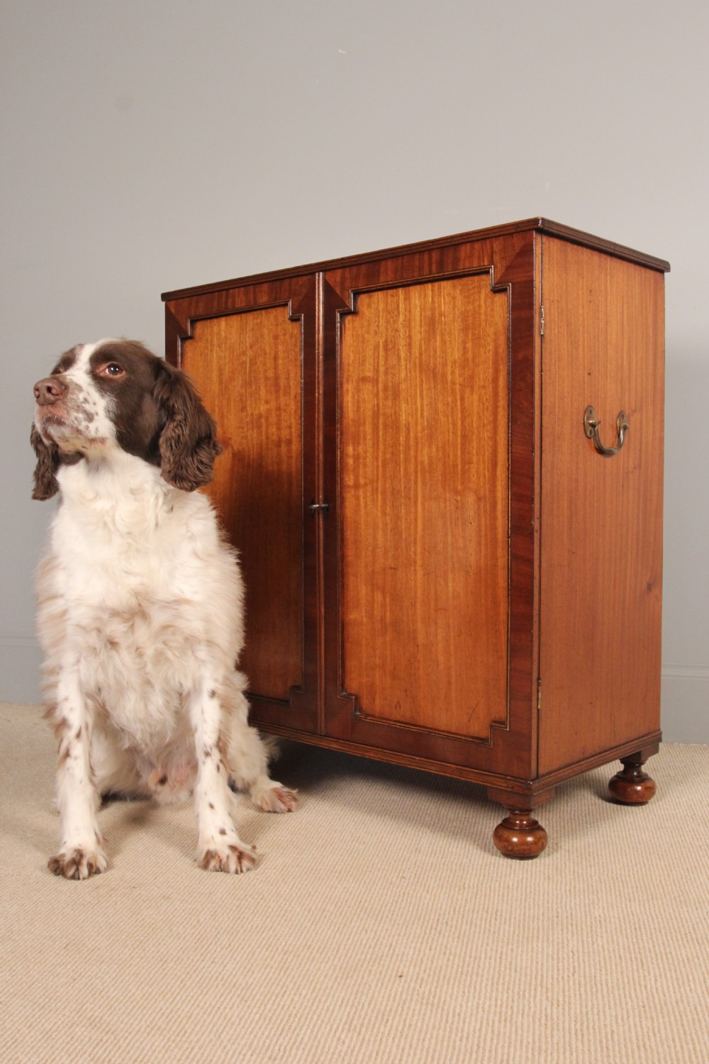 Small Georgian Mahogany Collectors Cabinet