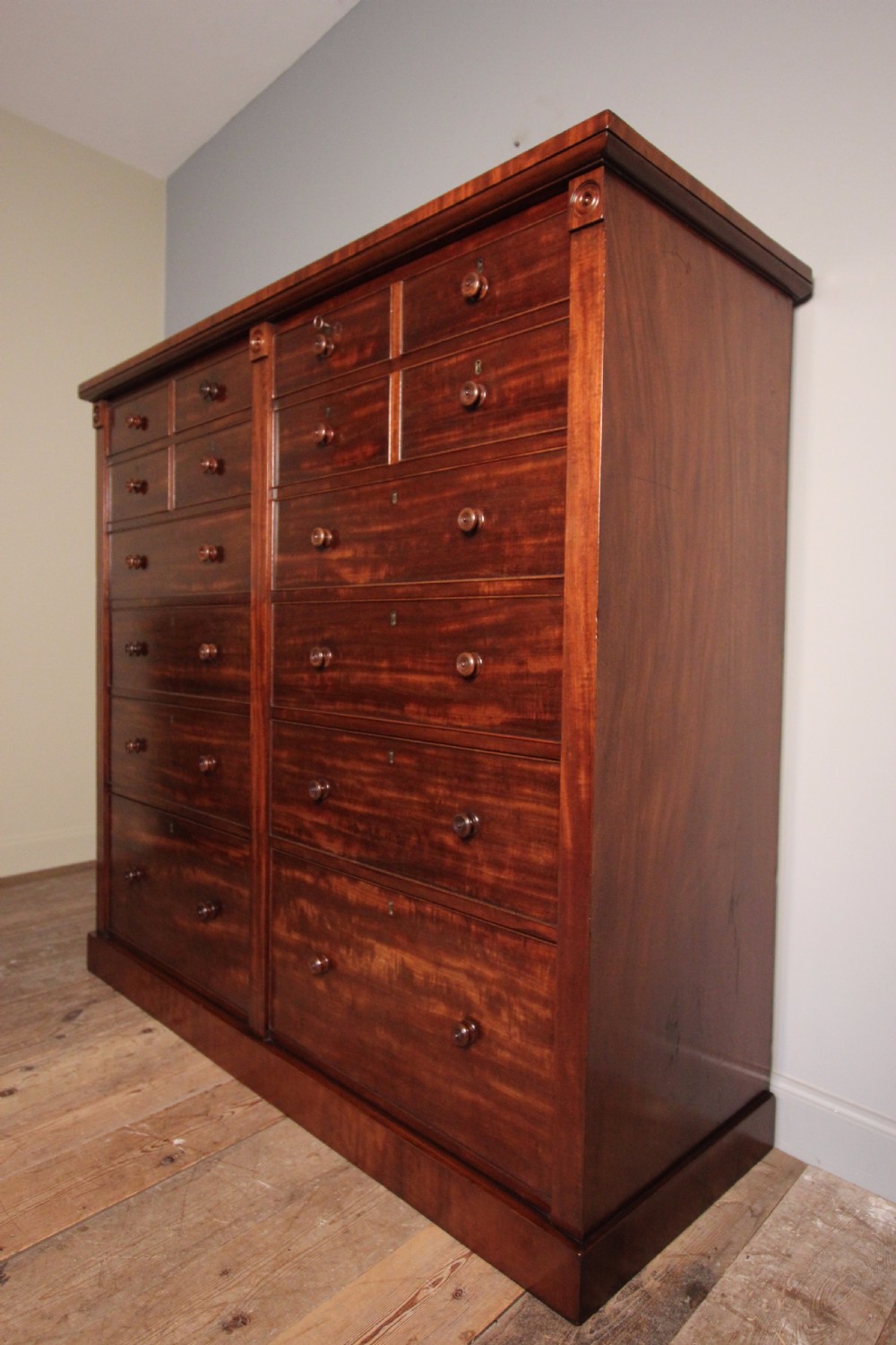 Superb 19th Century Mahogany Double Wellington Chest View III