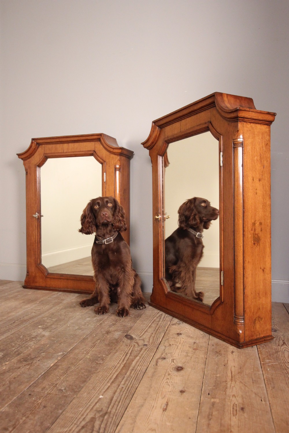 Superb Pair of Country House Apothecary Wall Cabinets View VIII