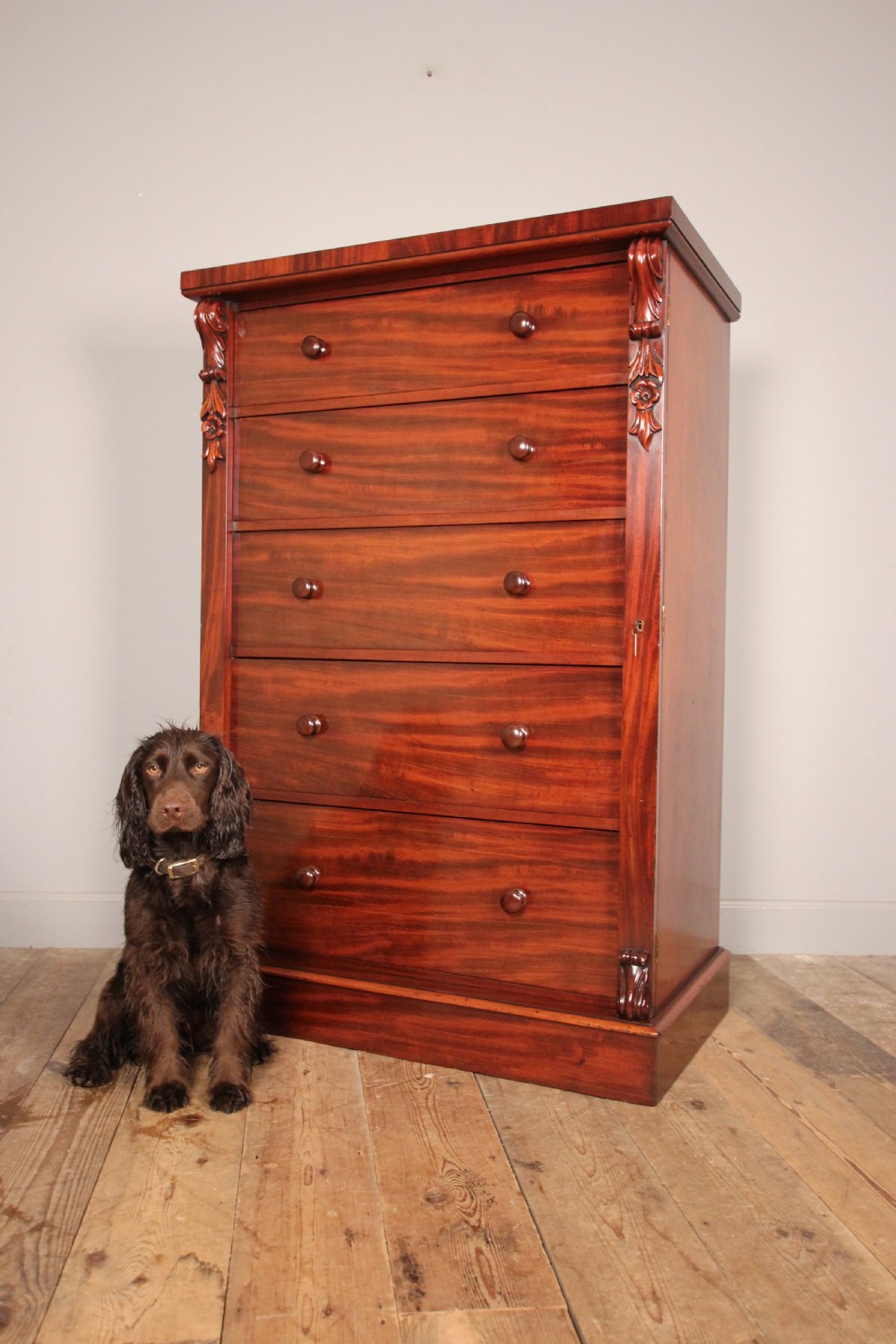 Large 19th Century Wellington Chest View VIII