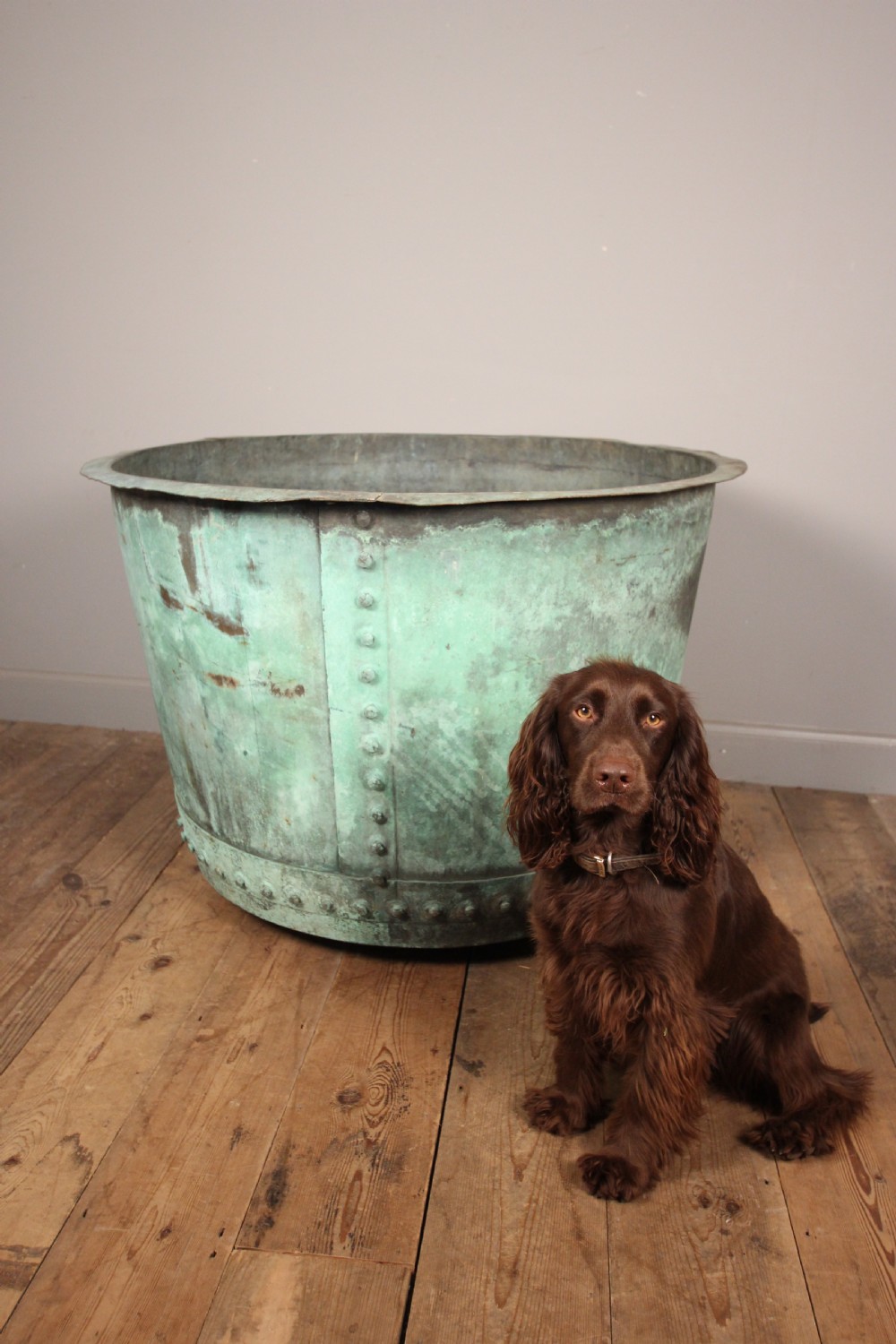 Exceptionally Large 19th Century Garden Copper Planter View V