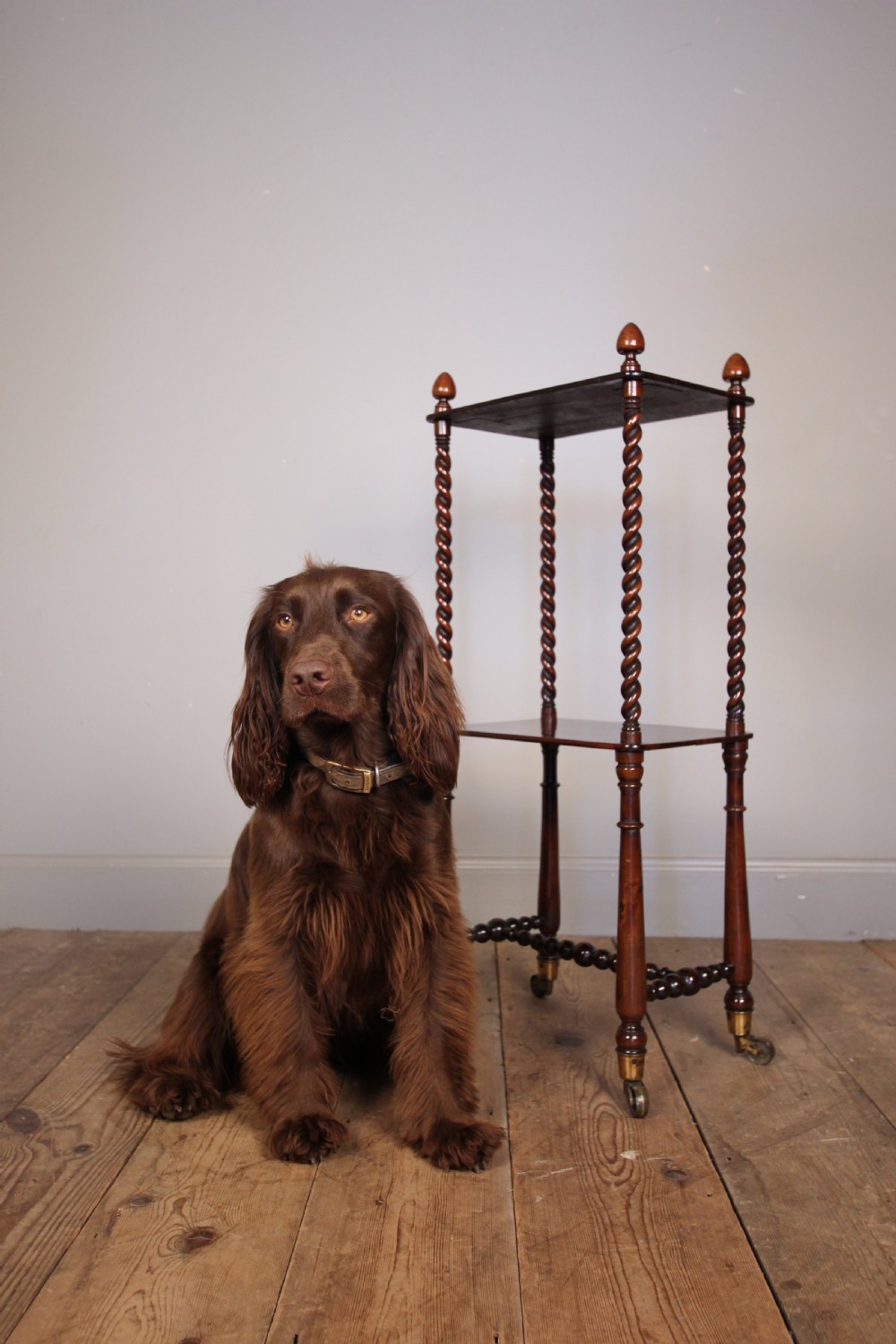 Small 19th C Rosewood Whatnot View VI