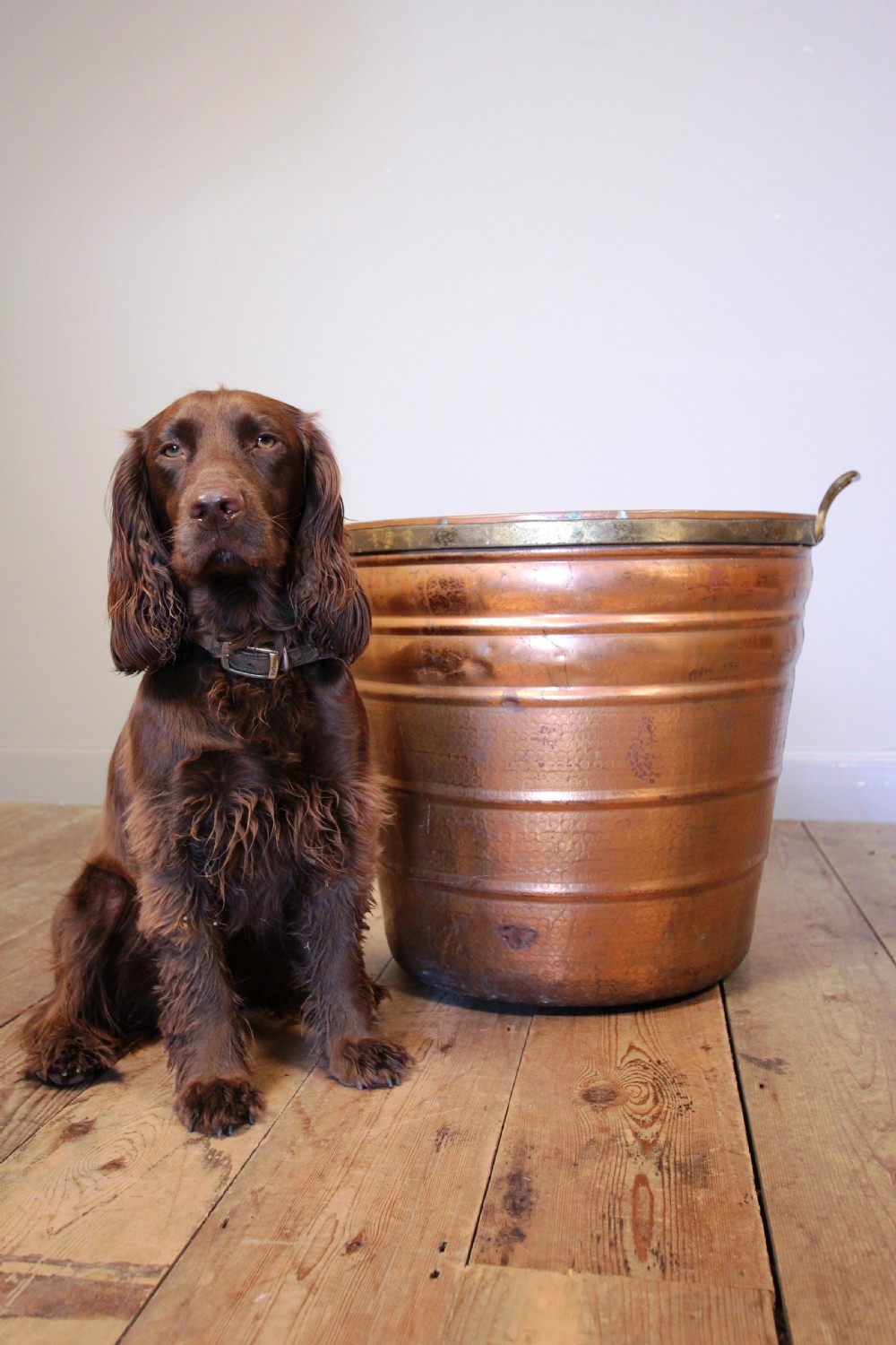 Unusual Embossed Copper Log Bin View V