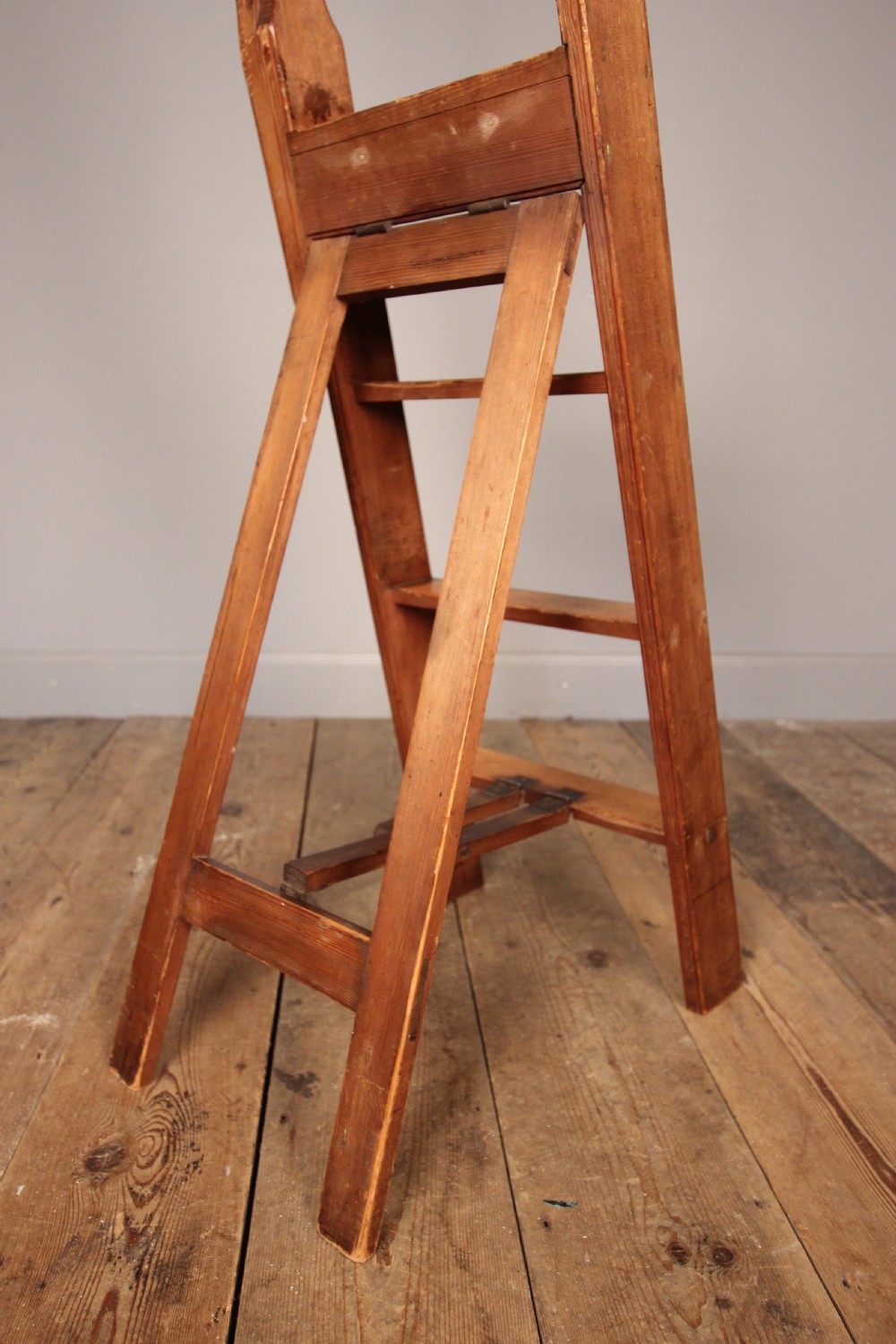 19th Small Library Ladders View IV