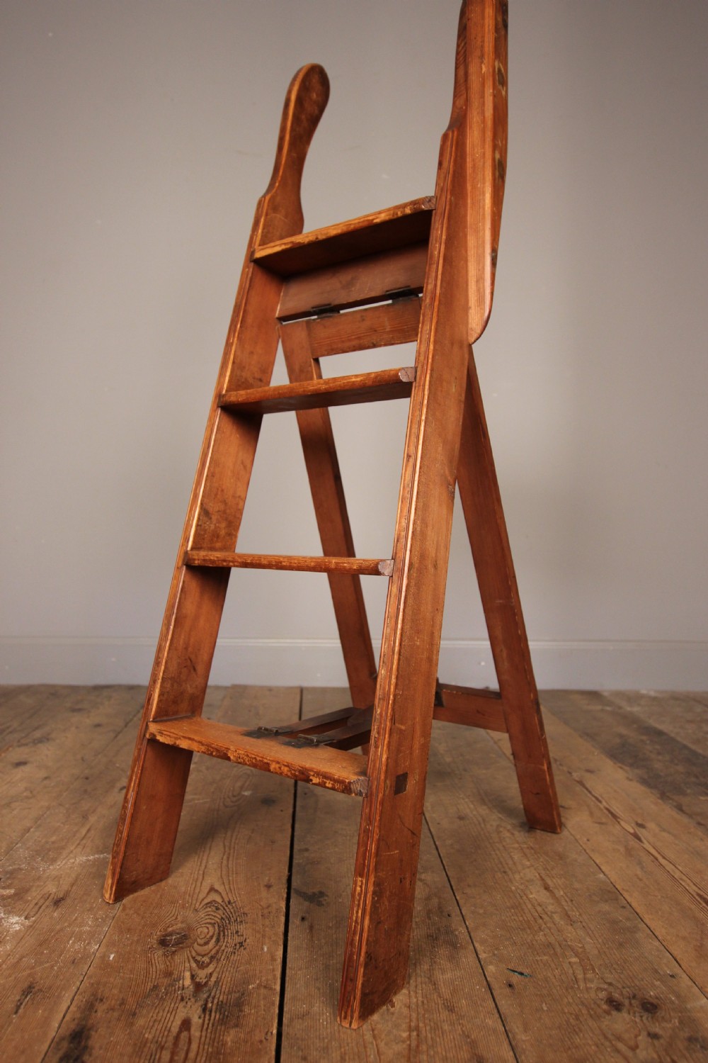 19th Small Library Ladders View VII
