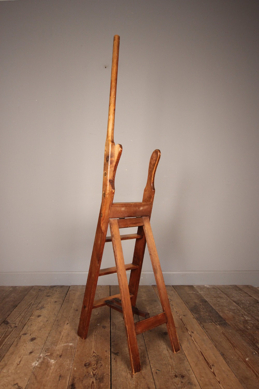 19th Small Library Ladders View IX