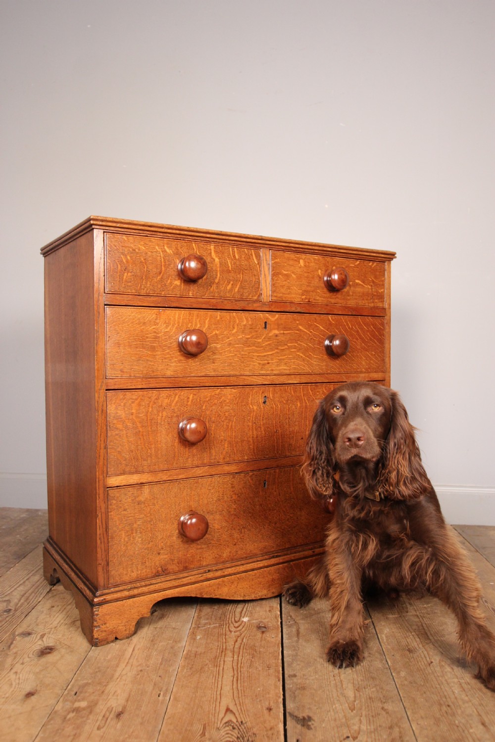 Small Country Oak Chest of Drawers View IX