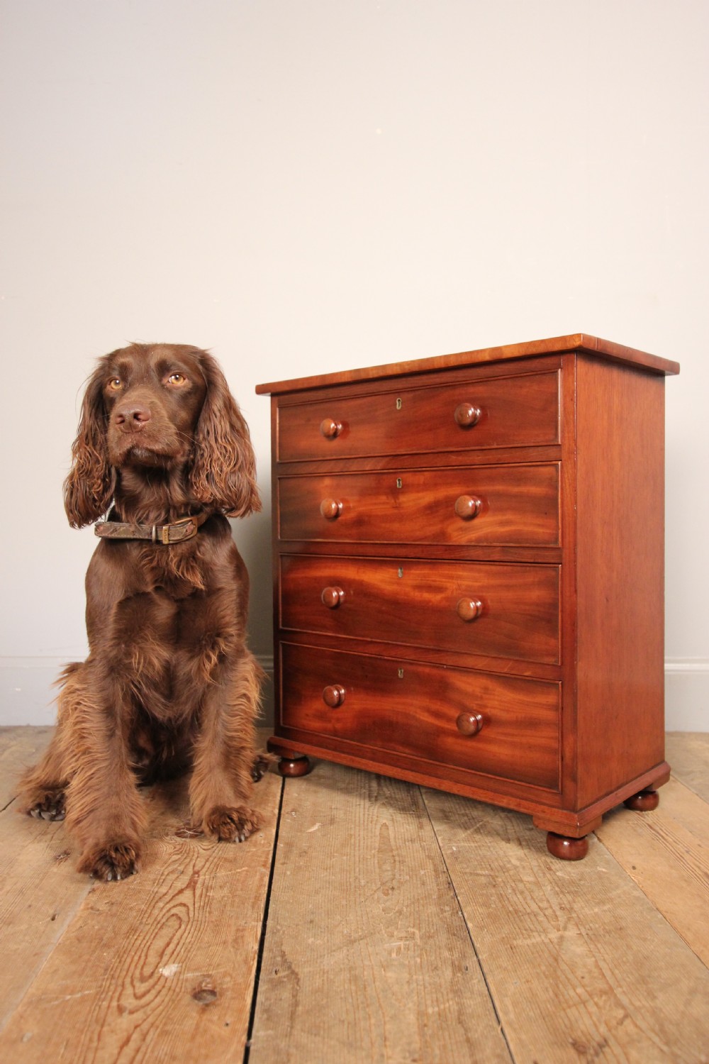 Super Quality 19th C Mahogany Apprentice Chest of Drawers View II