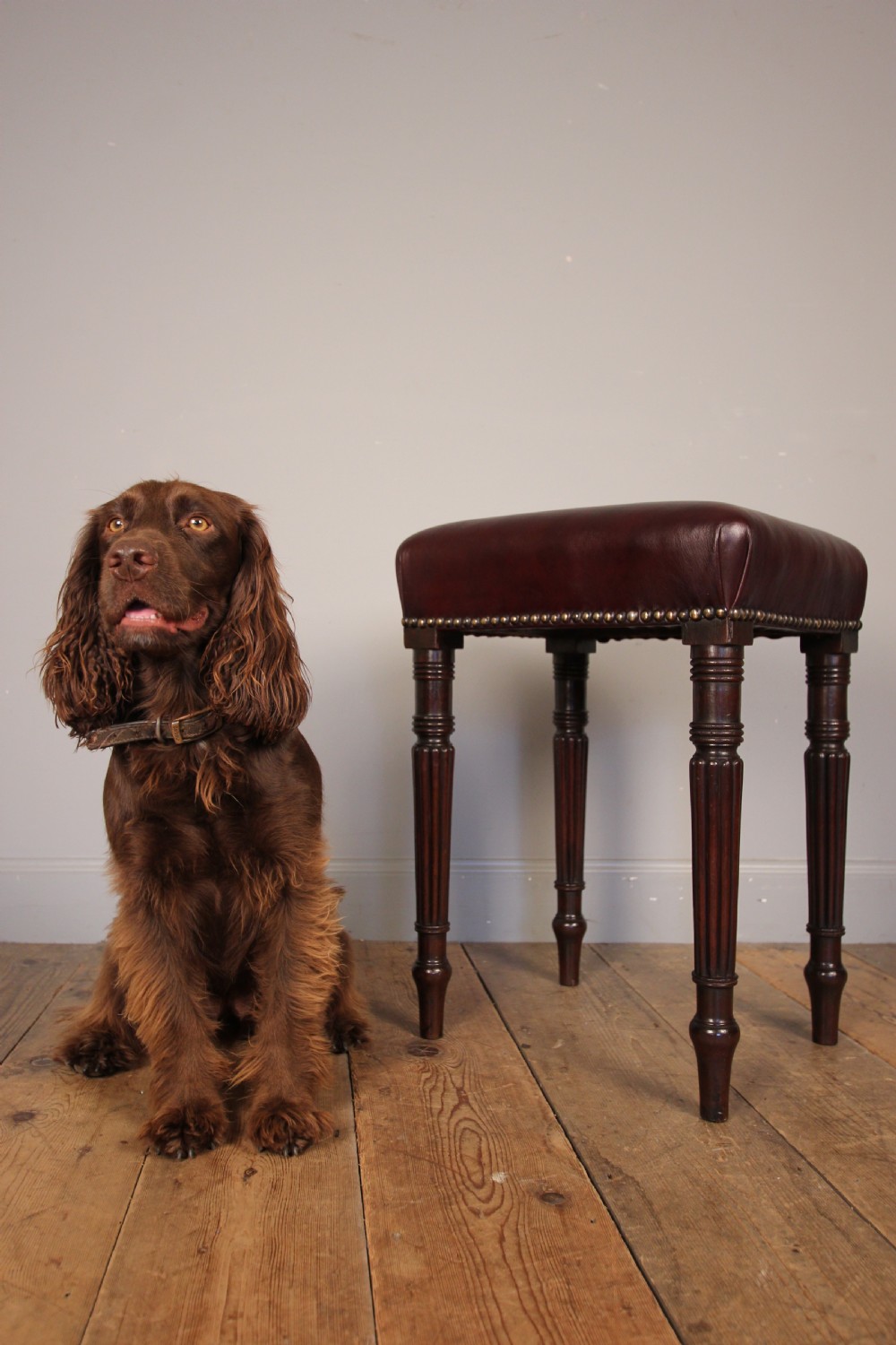 Gillows Mahogany Dressing Stool View II