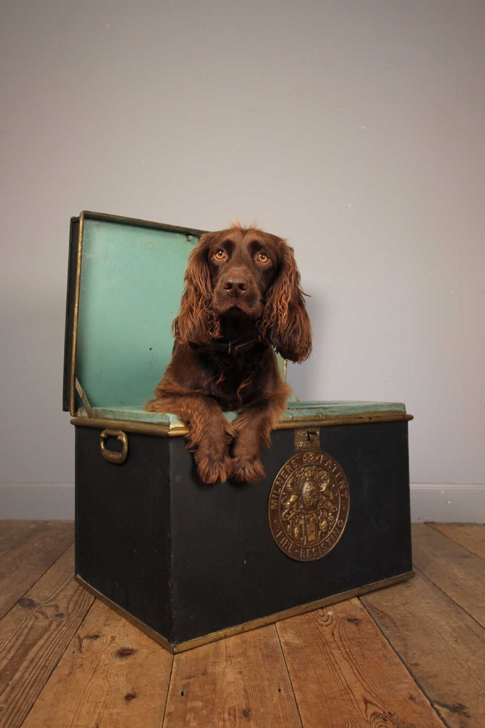 19th Century Milners Cast Iron Box Safe View V