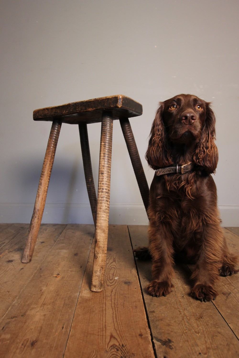 Primitive Elm & Ash Cutlers Stool View II
