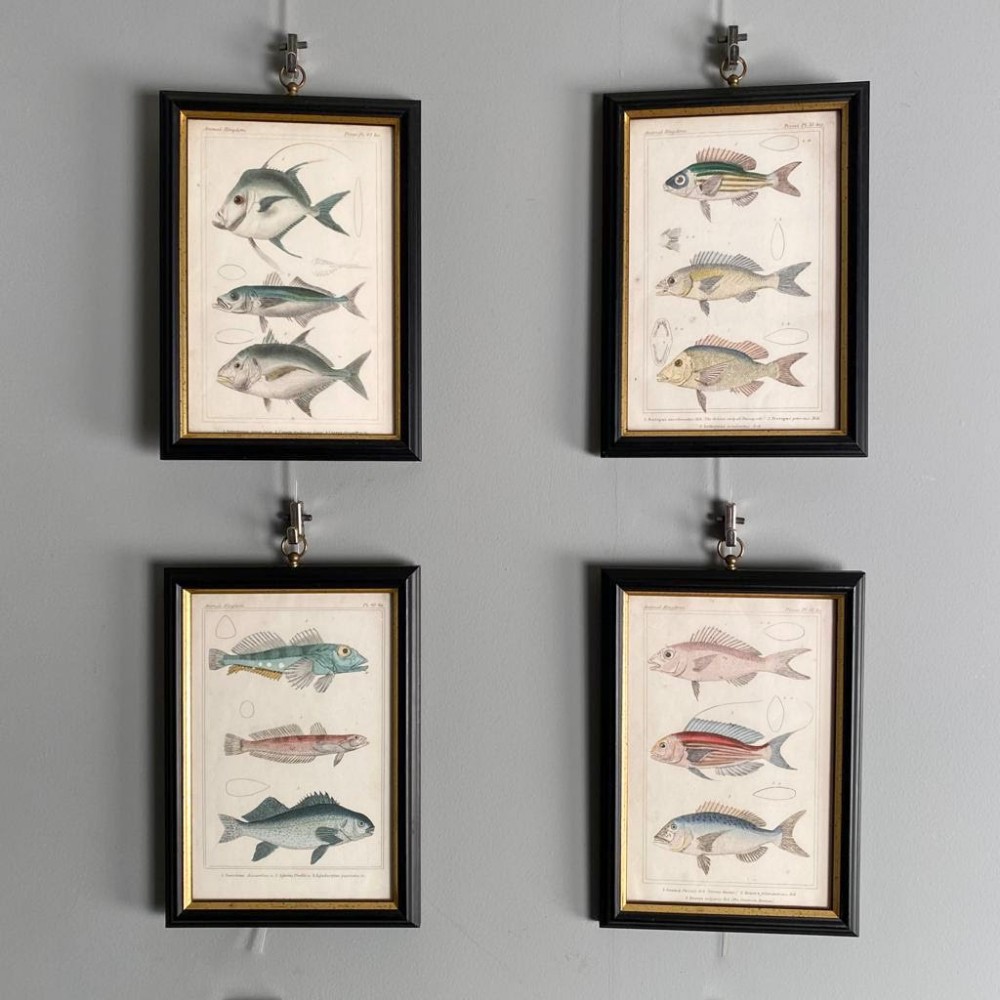 Set of 4 19th C Copper Plate Engravings