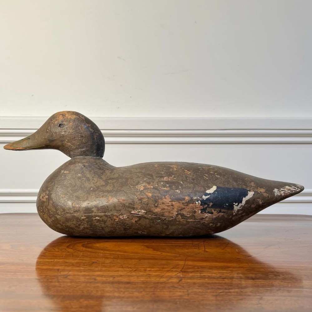 Large Edwardian Decoy Duck