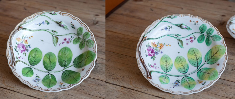 Pair of Chelsea Porcelain Style Hans Sloane Type Plates