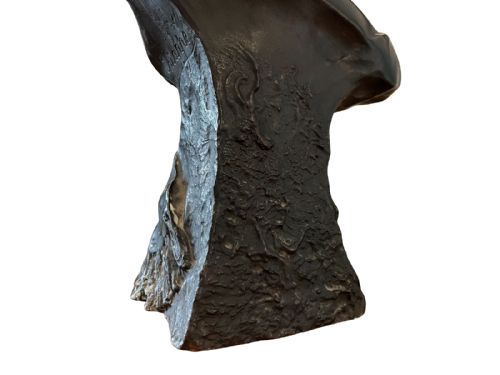 ART NOUVEAU BRONZE BUST OF LADY - ADDITIONAL PHOTO 7
